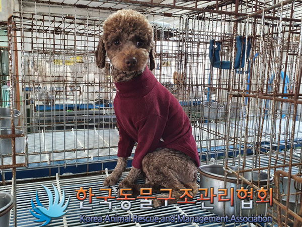 한국동물구조관리협회_441559202301220